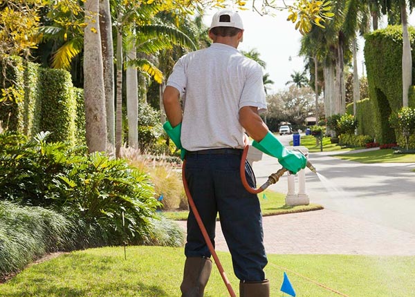 About Vergas MN Pest Control